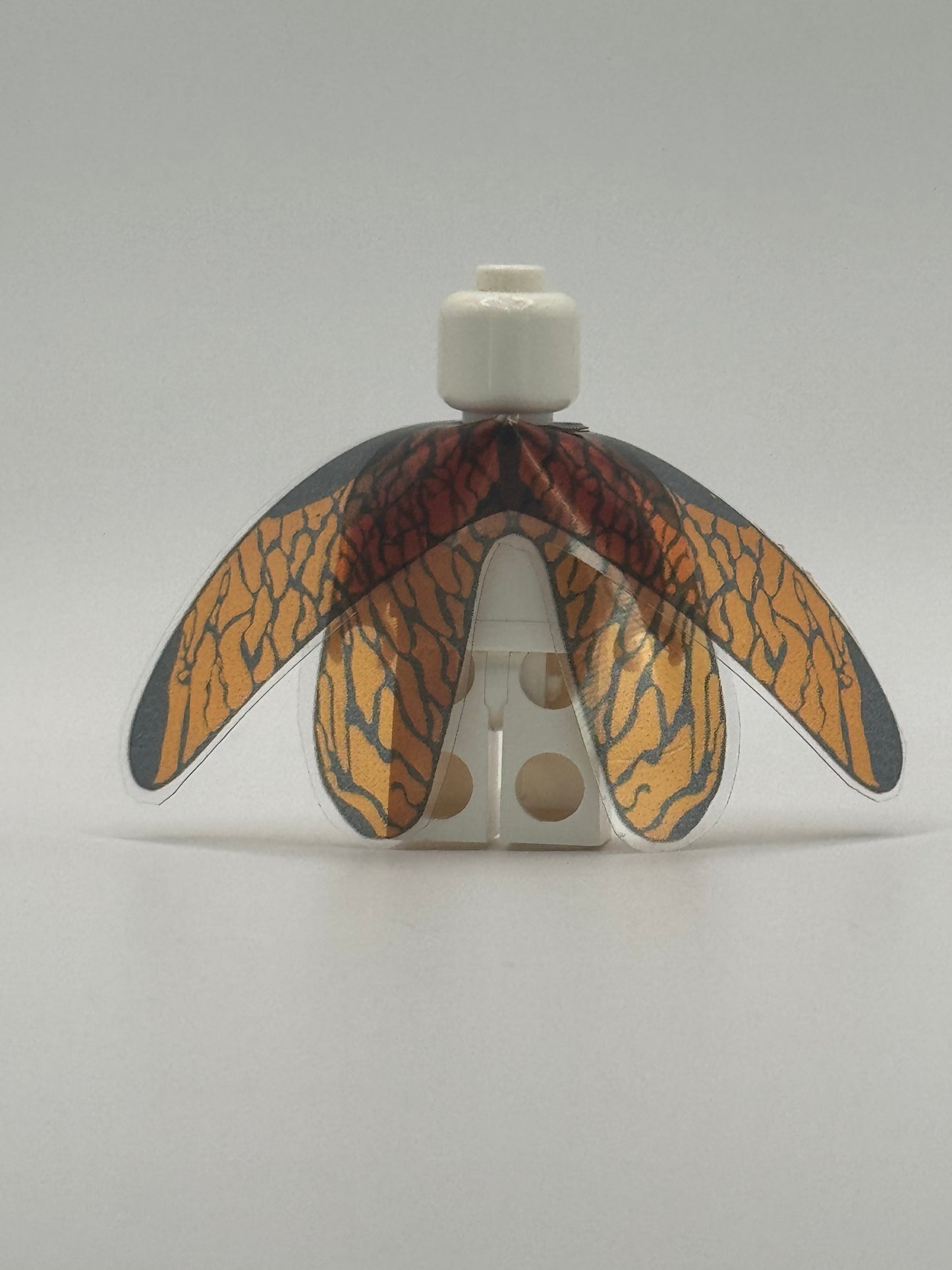 ROCKY BUG WINGS