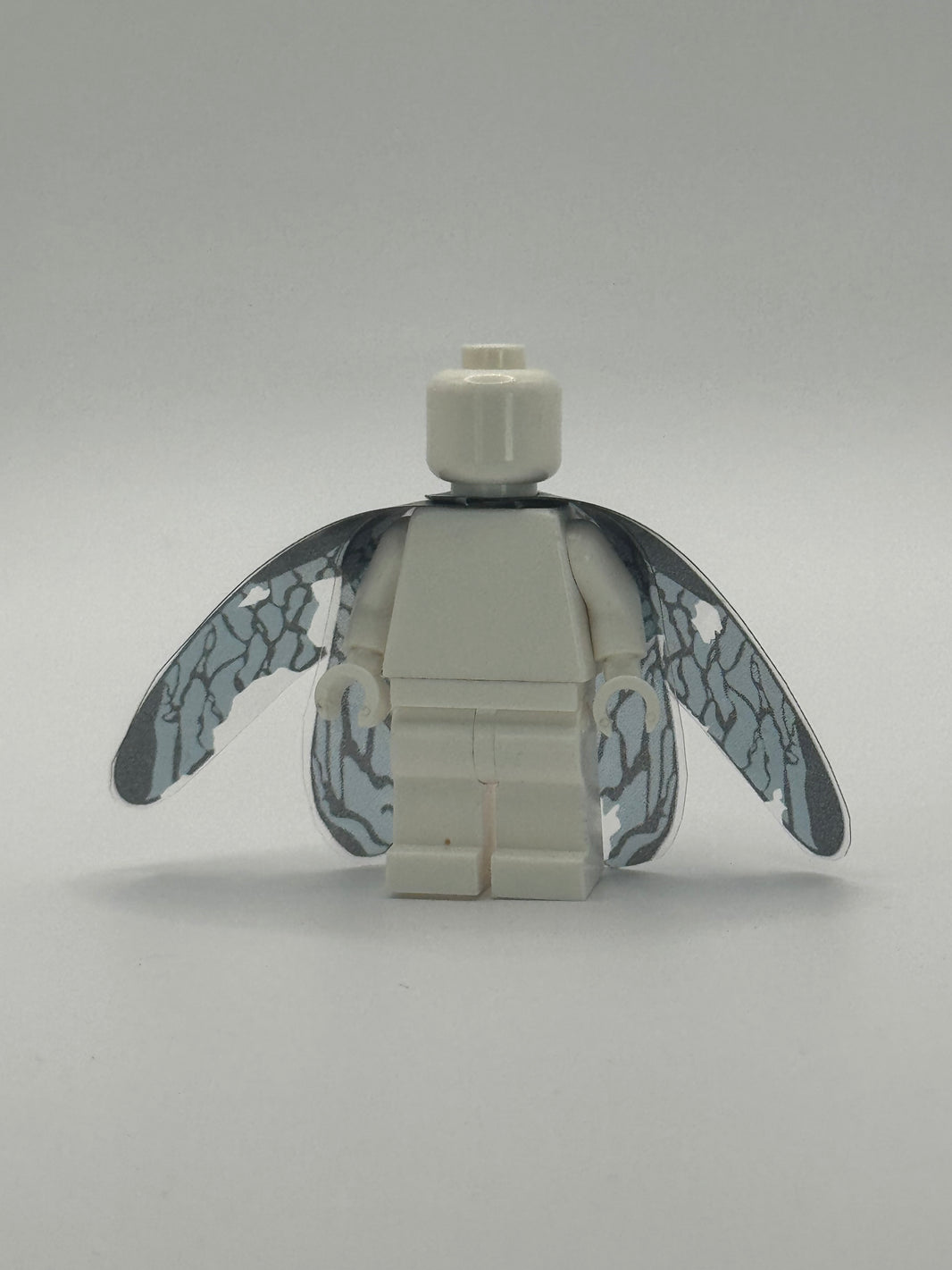 ROCKY BUG WINGS