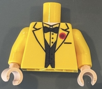 Modern Fancy raider torso