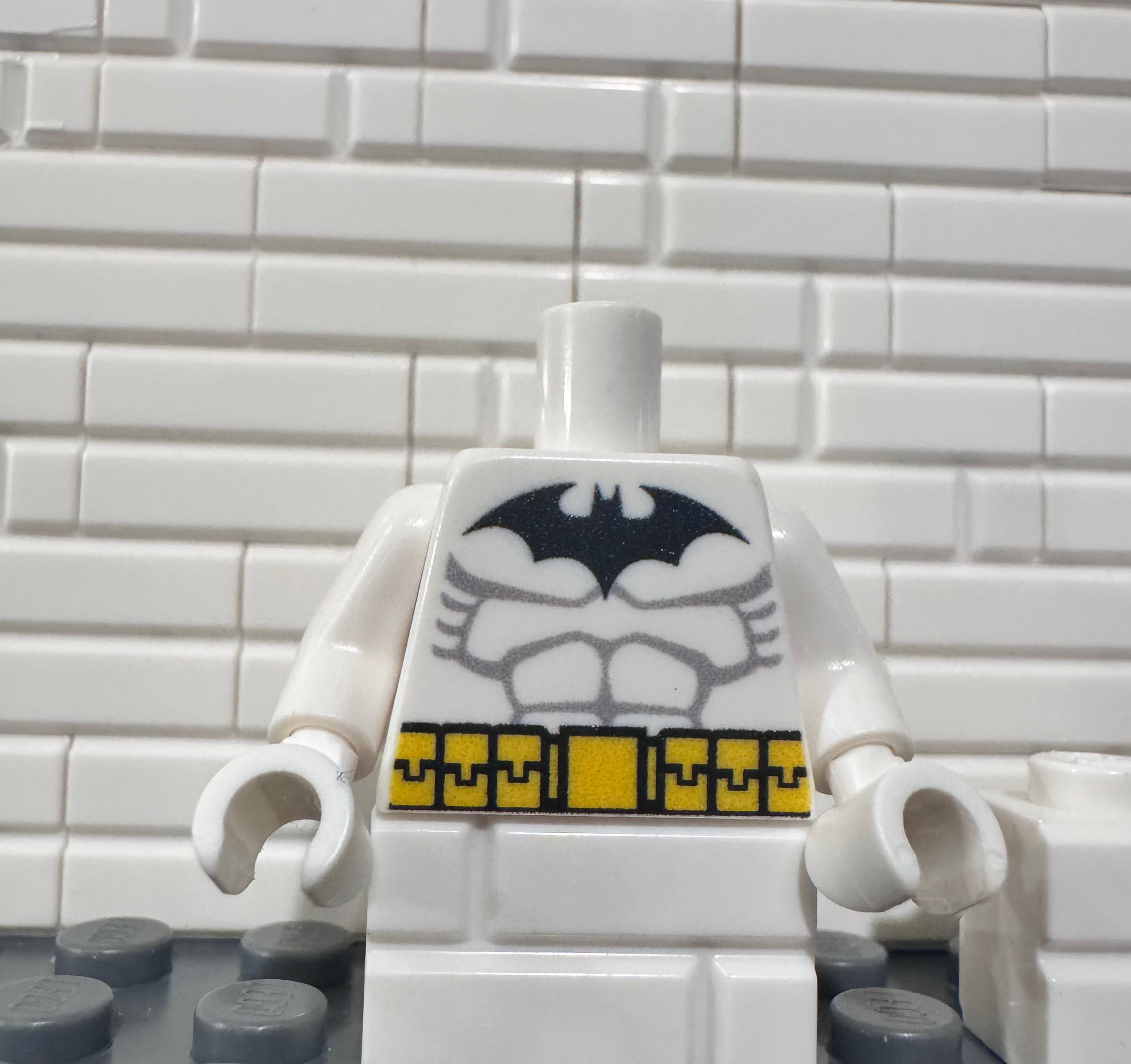 Classic cold  suit torso