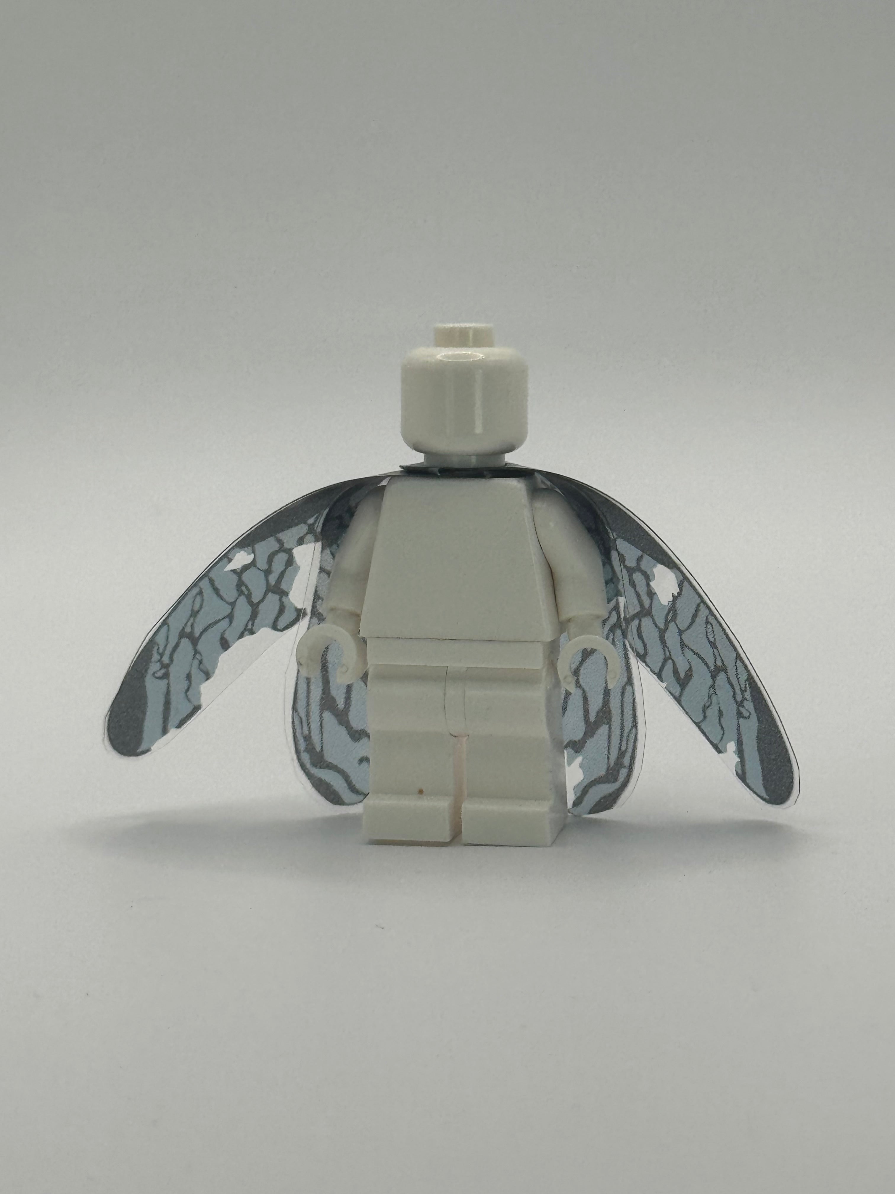 ROCKY BUG WINGS