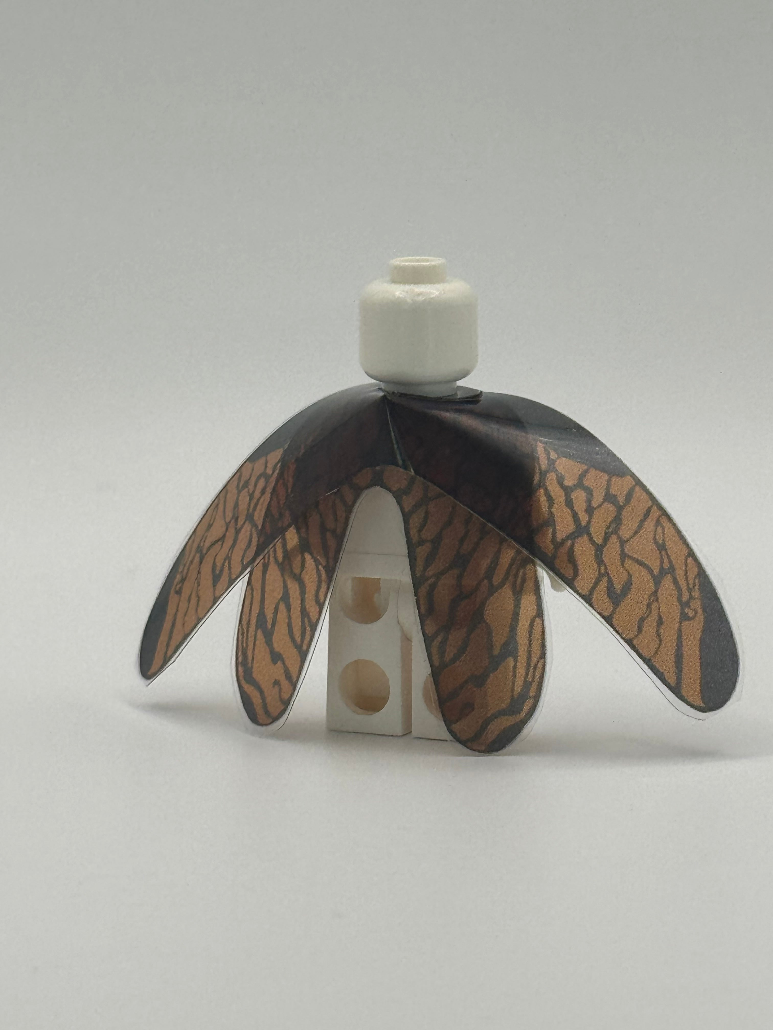 ROCKY BUG WINGS