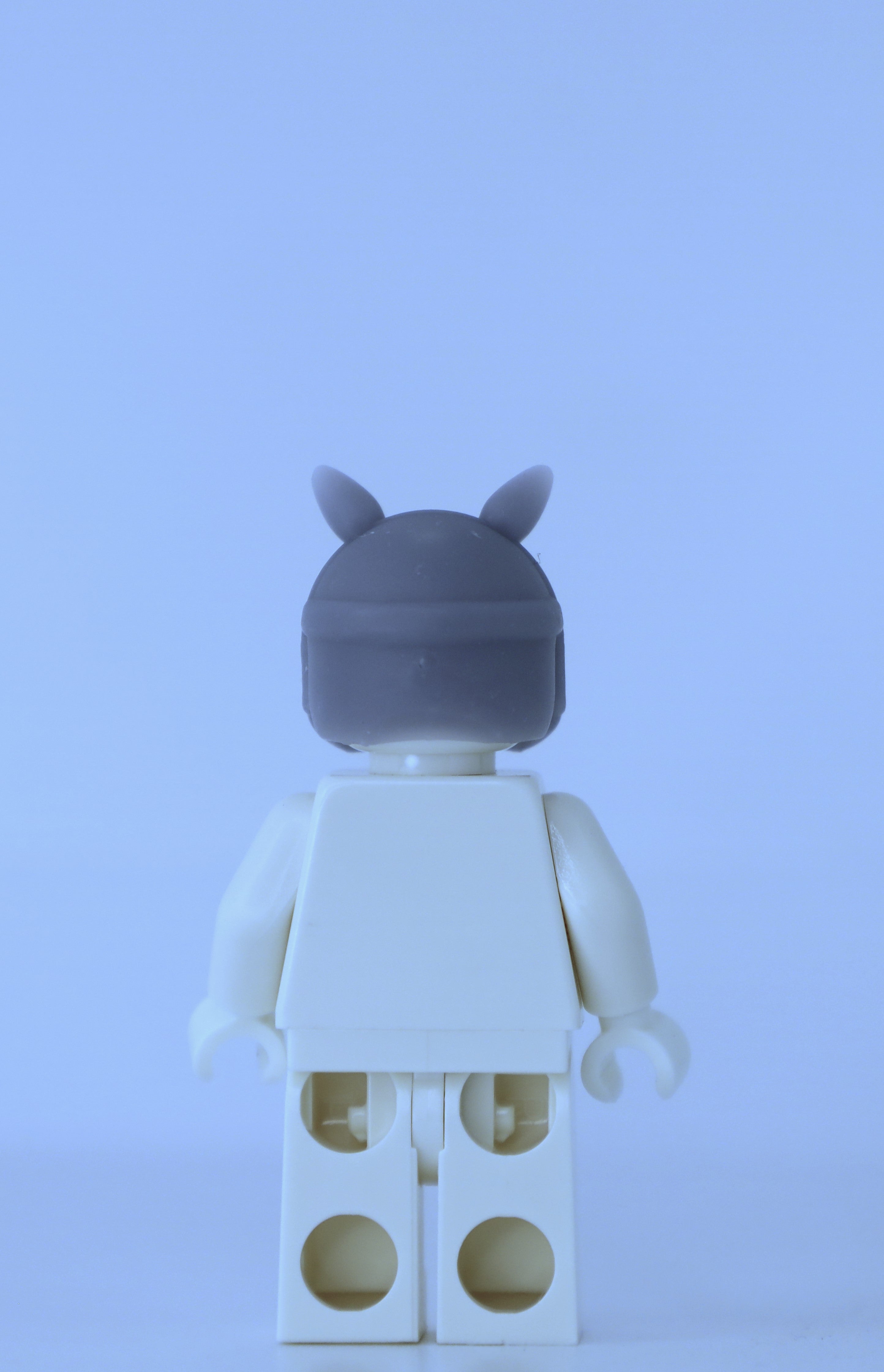 Dr oink mask
