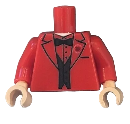 Modern Fancy raider torso
