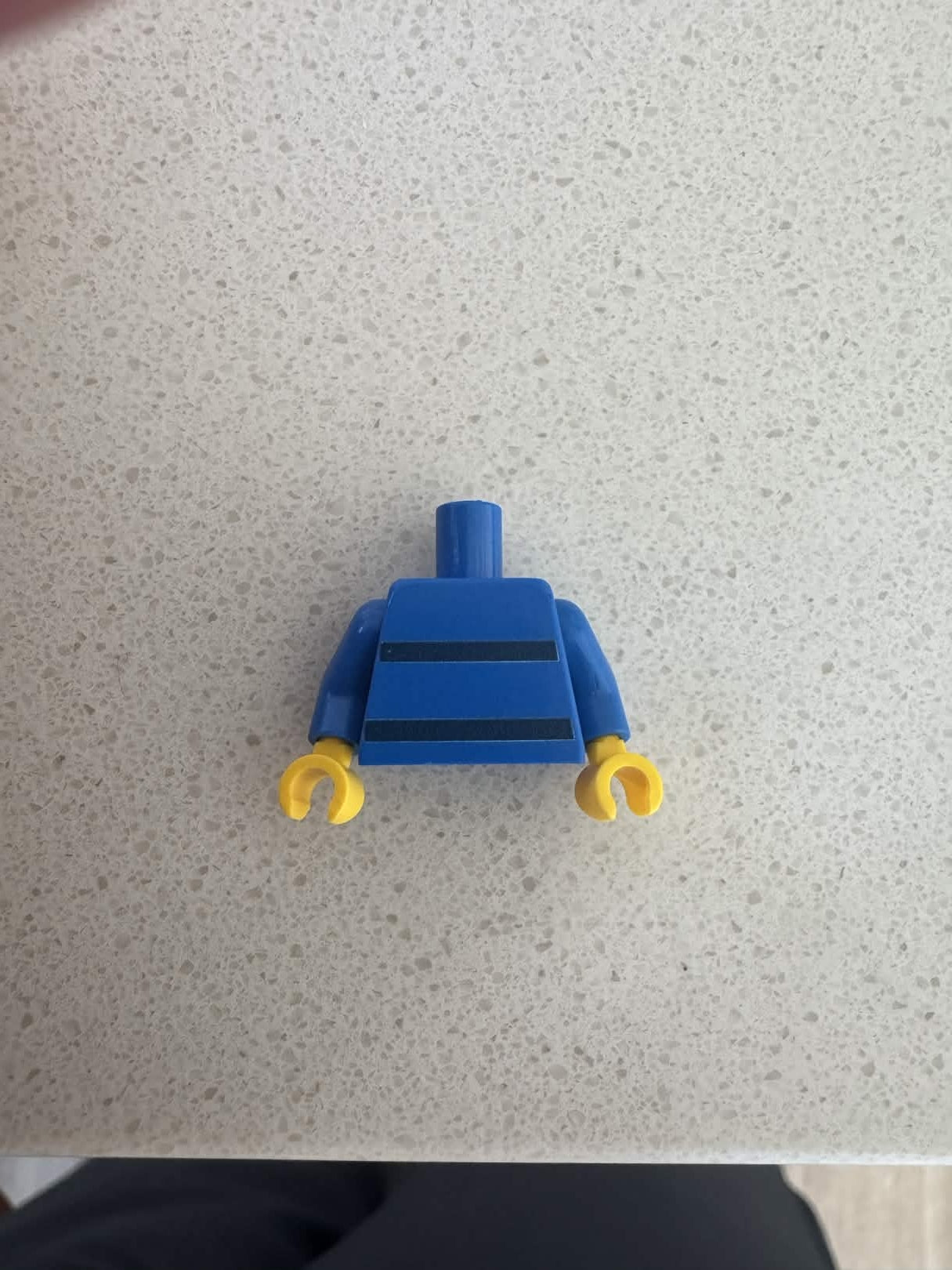 Beta fish hench torso