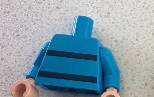 Beta fish hench torso