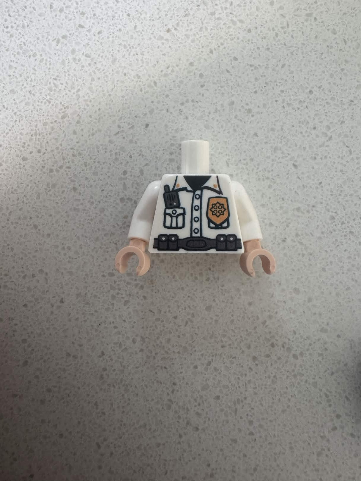 Police torso
