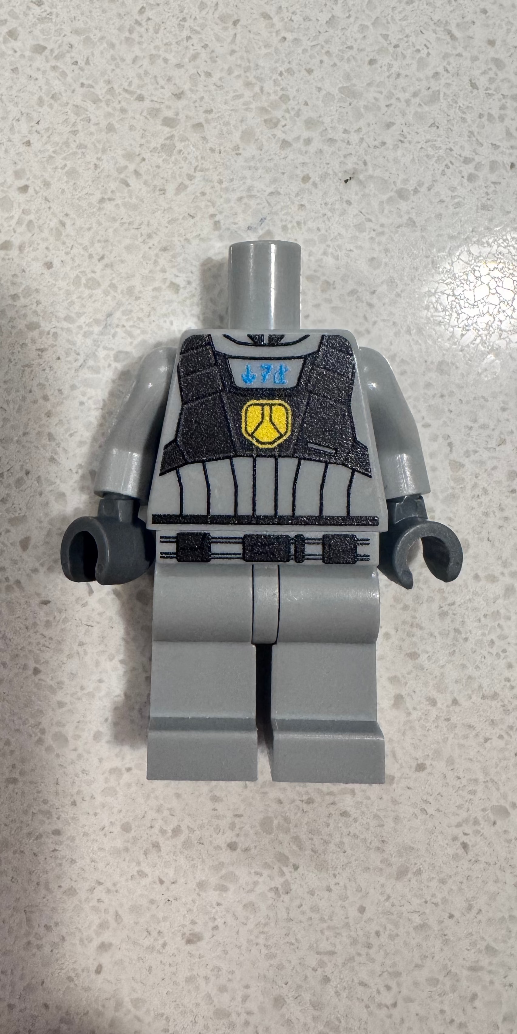 Janix police bodies