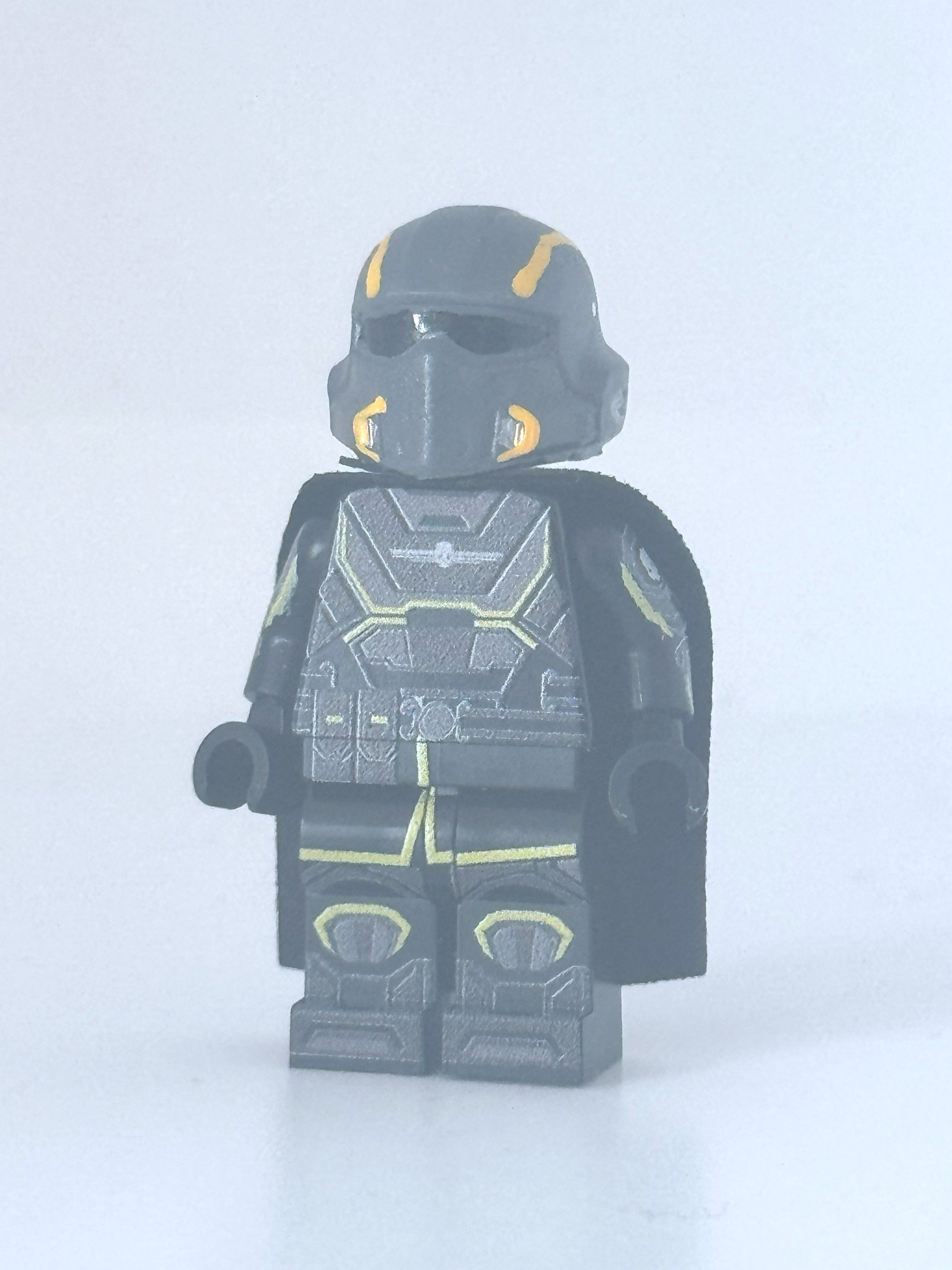 DEMOCRACY PROTECTOR